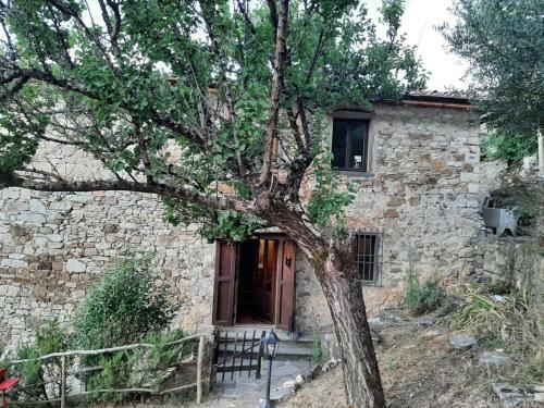 Apartamento Mea Casa Toscana