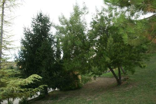 Villa La Casa Gialla