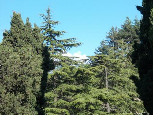 Bed & Breakfast La Vecchia Locanda