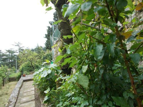 Bed & Breakfast La Vecchia Locanda