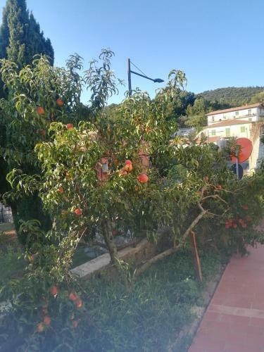 Bed & Breakfast La Vecchia Locanda