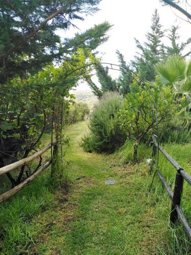 Il Corbezzolo Blue Apartment