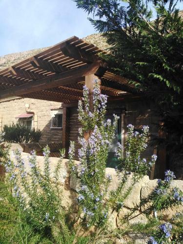 Il Corbezzolo Blue Apartment