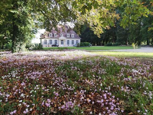 Bed & Breakfast Chambre Sixties