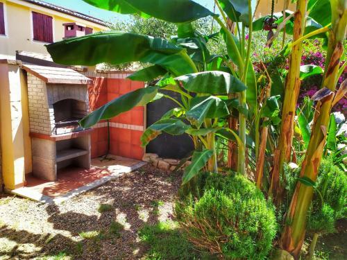 Apartamento Stella Dorada Appartamento 2 Posti