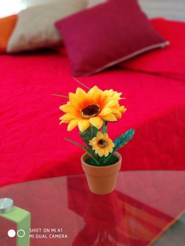 Bed & Breakfast Sole Di Castellammare