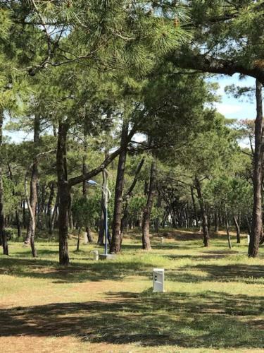 Oh! Campings - La Tamarissi�re Agde