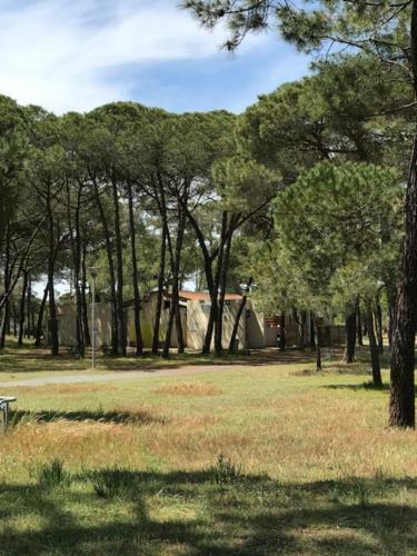 Oh! Campings - La Tamarissi�re Agde