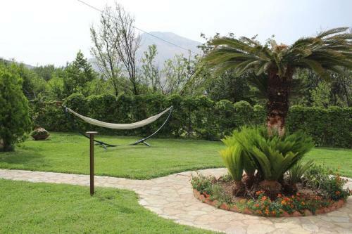 Villa Cycas Costamante
