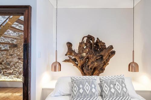 Luxury Terrace Home On Hyde Park / Darlinghurst