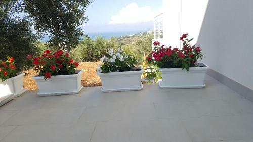 Villa Maria Con Piscina E Vista Mare