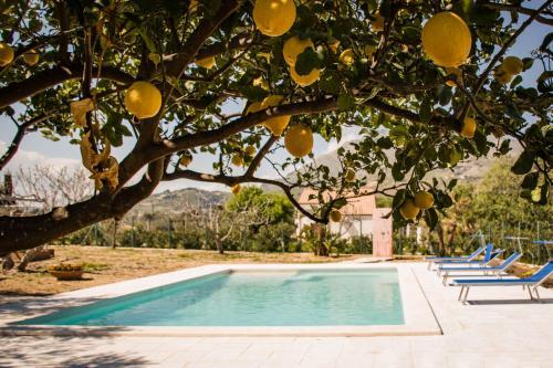 Villa Scialari Country House