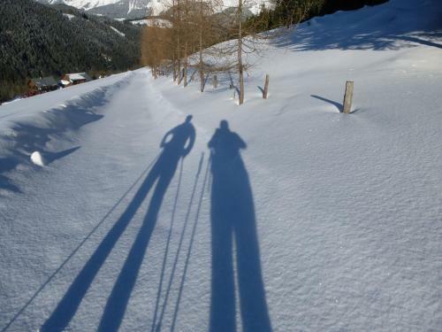 Hostal Fesengut