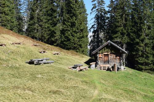 Hostal Fesengut