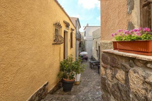 Apartamento Casa Cerin