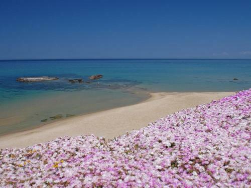 Apartamento Attico Sul Mare