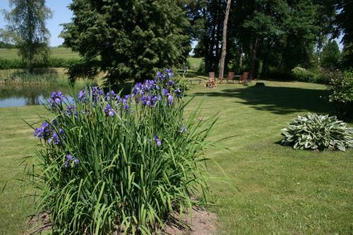 Bed & Breakfast Zielone Okiennice