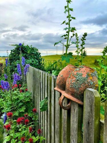 Bed & Breakfast Zielone Okiennice