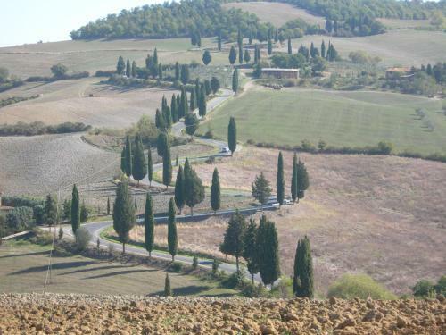 Al Piccolo Ulivo, A Casa Di Mimo&s�