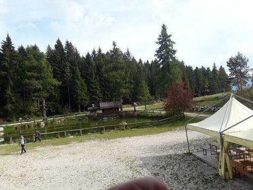 Apartamento Chalet Musiera