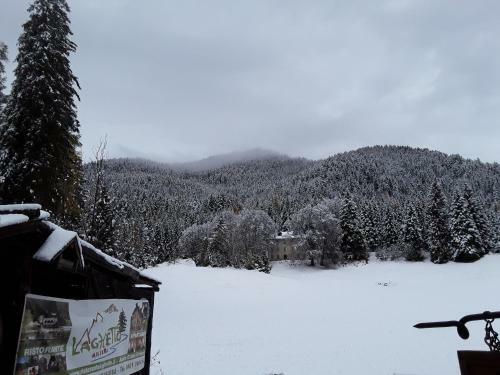 Apartamento Chalet Musiera