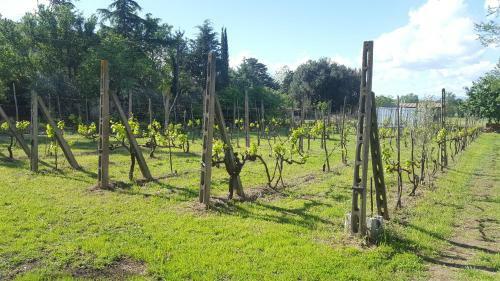 Apartamento The Olive Grove