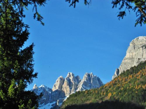 Apartamento Alla Casa Del Cedro
