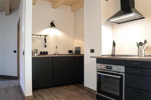 Apartment El Molin - Alpe Cermis Dolomites