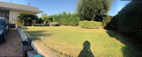 Allegria Natura E Serenit�