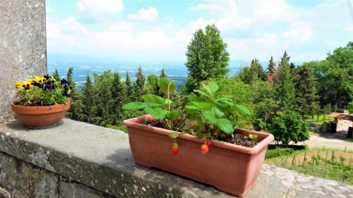 Apartamento A Due Passi Dal Chianti