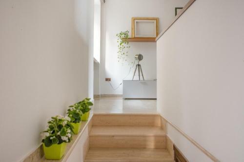 Apartamento Lavistadeisogni Muranuove