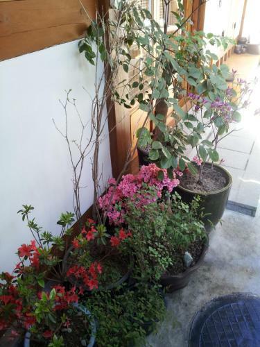 Hostal Han Hanok Guesthouse