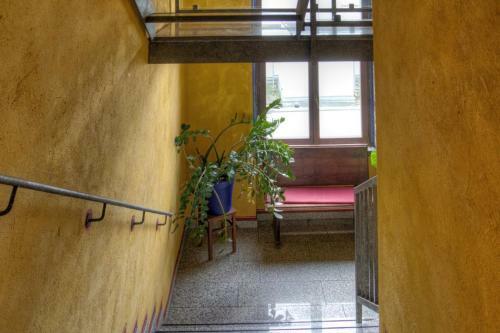 Hostal G�stehaus Mezcalero