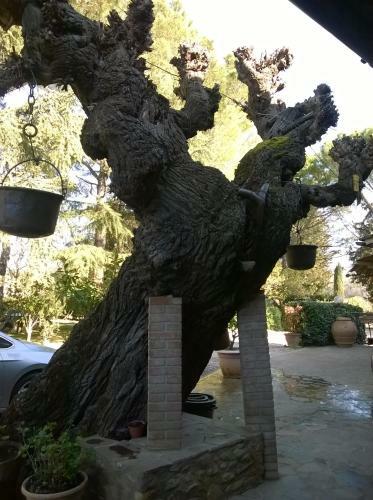 Apartamento Casavacanze I Pini