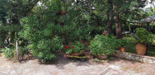Apartamento Casavacanze I Pini