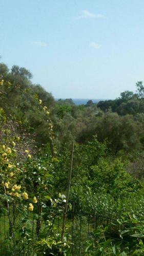 Bed & Breakfast Casaletto La Volpara