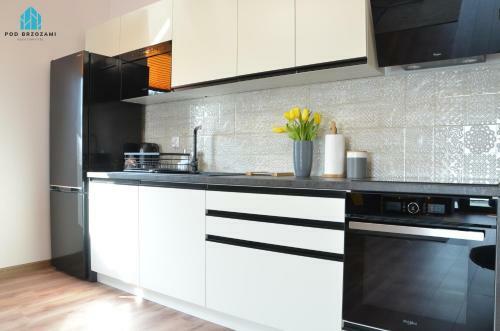 Pod Brzozami Apartamenty Summer Lofts