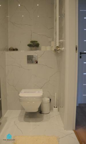 Pod Brzozami Apartamenty Summer Lofts