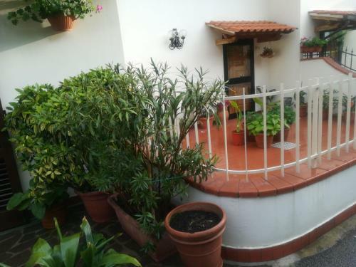 Apartamento Il Giardino Delle Rose