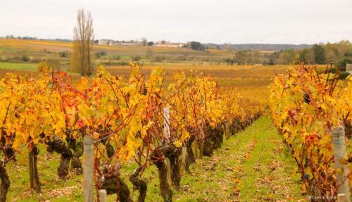 Villa La Maison Du Vignoble