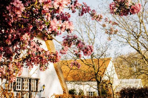 Bed & Breakfast Truyenhof