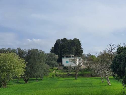 Trullo Turchese Fabiola