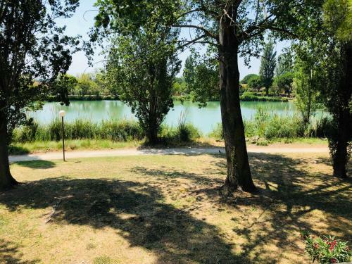 Apartamentos L'olivier