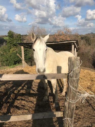 Le Casette In Collina