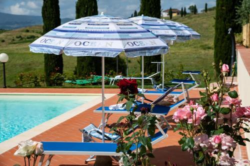 Apartamento Il Pucchio