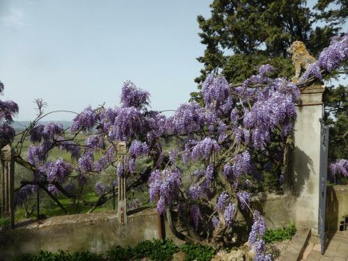 Villa Humbourg