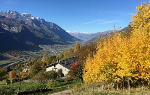 Apartamento Appartamenti Maison Guyon