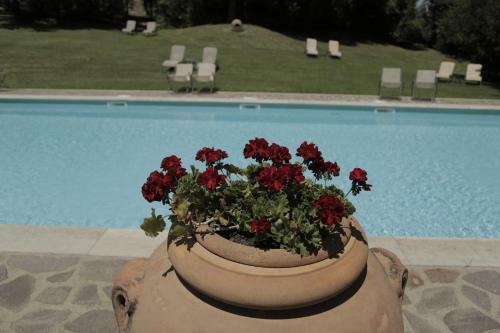 Agroturismo Il Pino Di Spazzavento