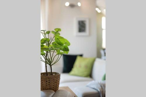 Apartamento Vayad� Casa Swing