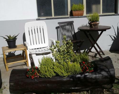 Apartamento Chez Margot